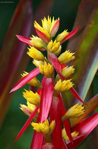 Foto: �chmea