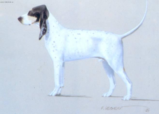 Fotky: Gasko�sko-saintgeoisk� honi� (foto, obrazky)