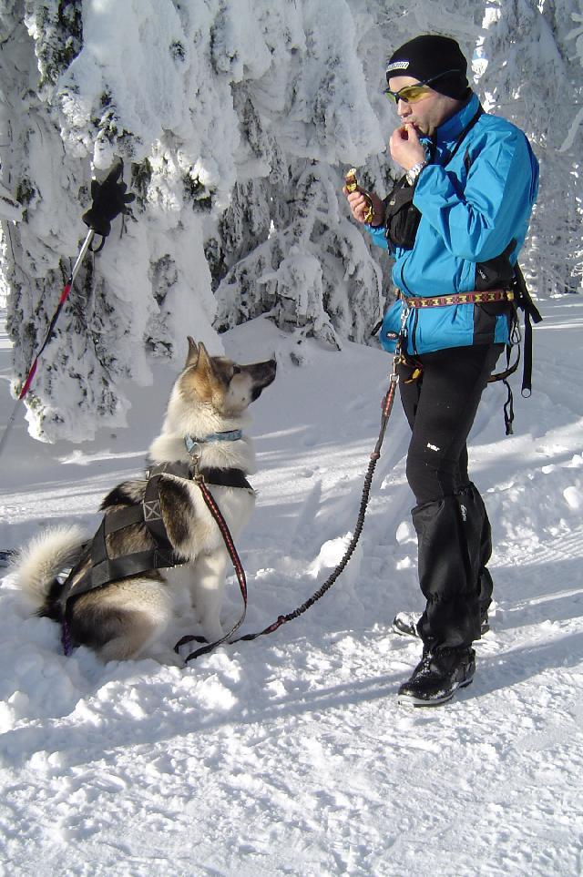 Fotky: Gr�nsk� pes (foto, obrazky)