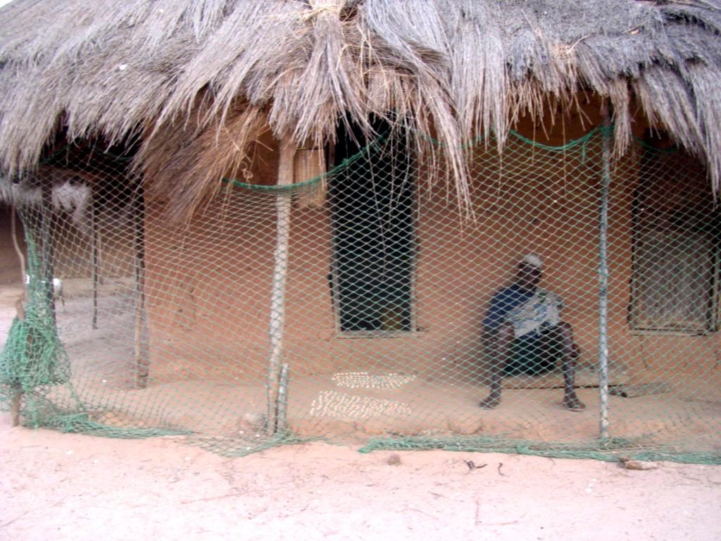 Foto: Guinea-Bissau-Guinea-Bissau