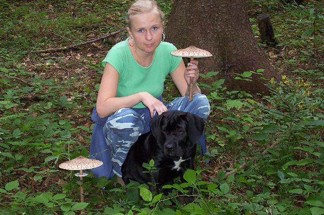 Fotky: Italsk� corso pes (foto, obrazky)