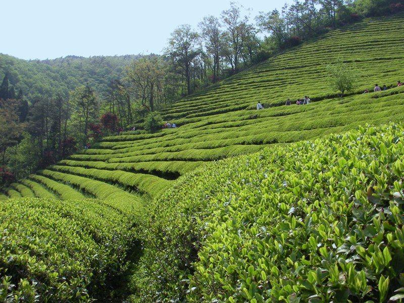 Fotky: Ji�n� Korea (foto, obrazky)