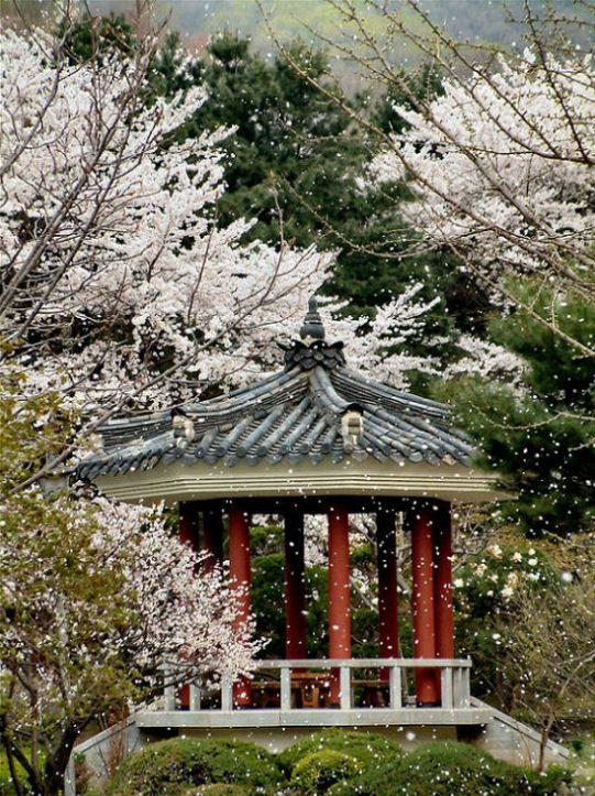 Fotky: Ji�n� Korea (foto, obrazky)