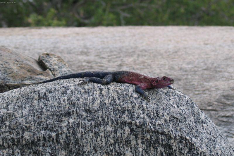 Fotky: Ke�a (cestopis) (foto, obrazky)