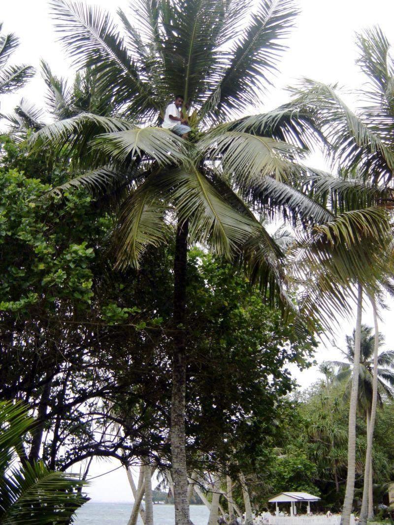 Foto: Marshallovy ostrovy