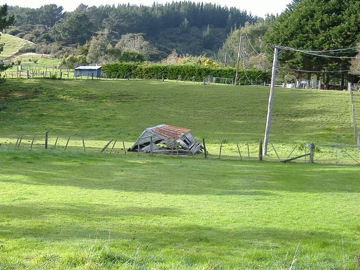 Foto: Nov� Z�land-Wellington