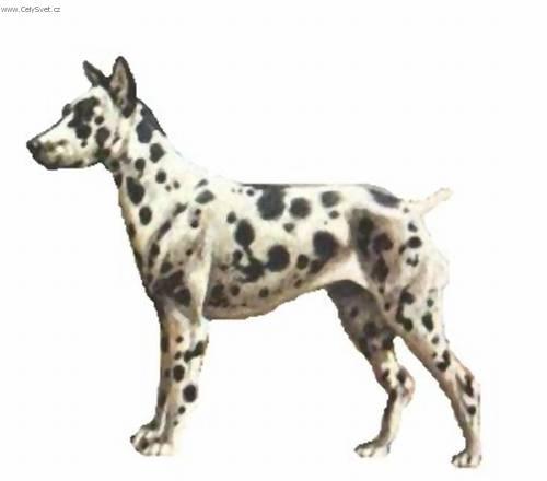 Foto: Pin�-harlek�n-Kresba