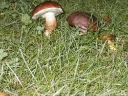 Foto: Puzzle online: Ostatn� 3