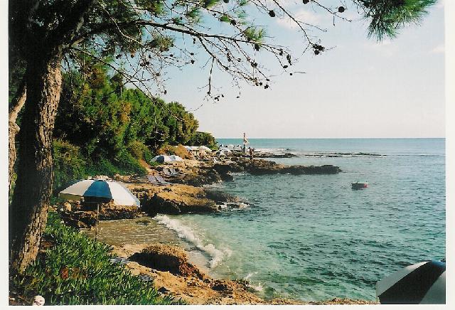 Fotky: �ecko (foto, obrazky)