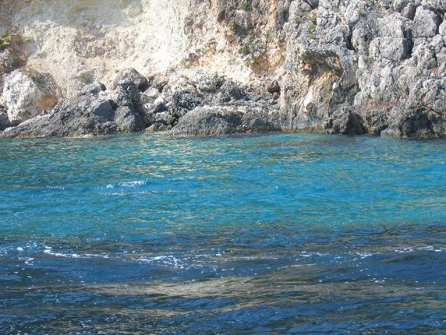 Fotky: �ecko (foto, obrazky)