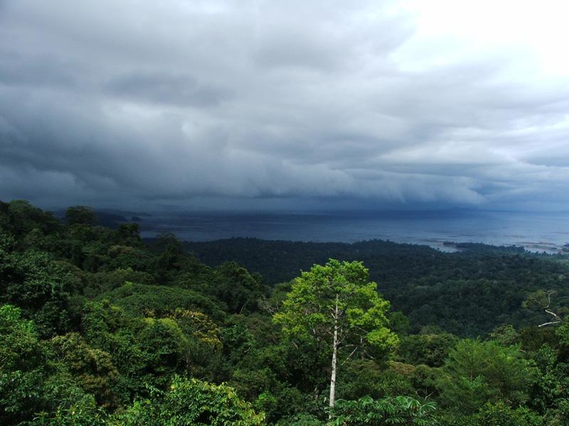 Foto: Suriname-Brokopondo