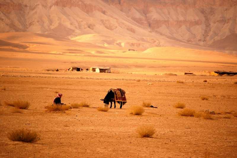 Foto: S�rie-Dimashq