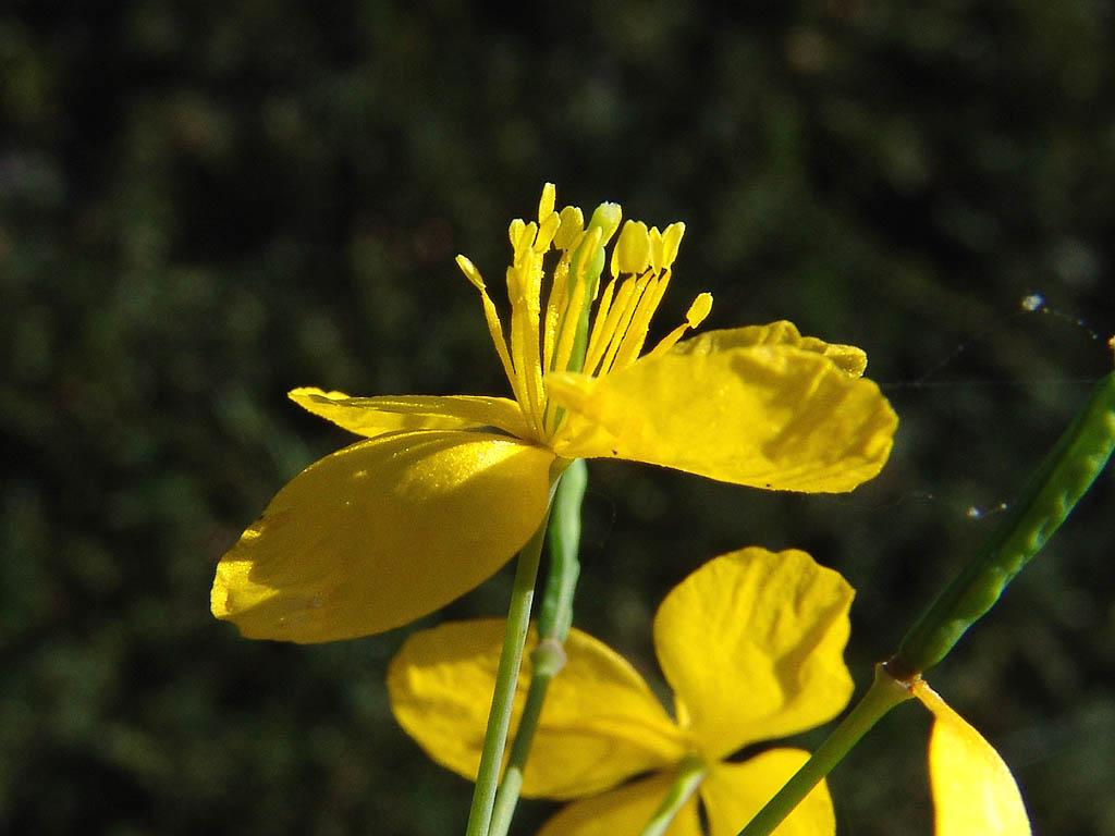 Foto: Vla�tovi�n�k V�t��