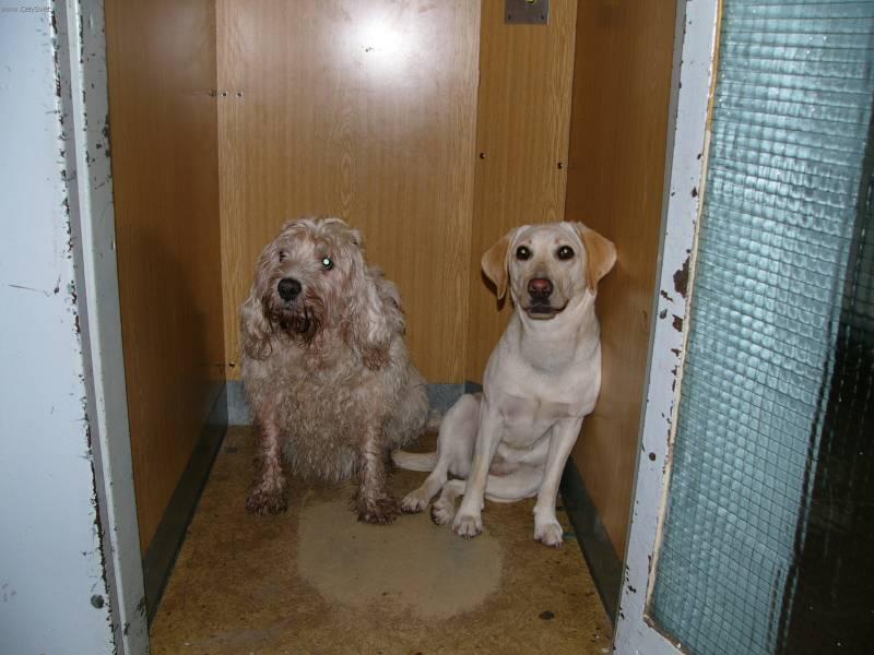 Foto: Vydra�-Majitel: Jan Pr�il