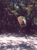 Fotky: Braz�lie (cestopis) (foto, obrazky)