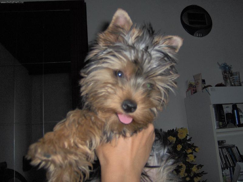 Foto: Magie