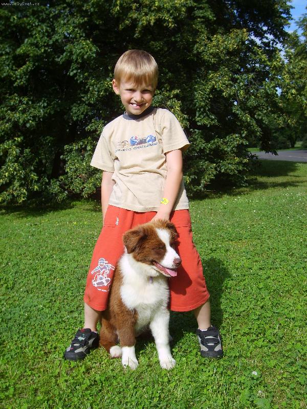 Foto: Moje slunicka