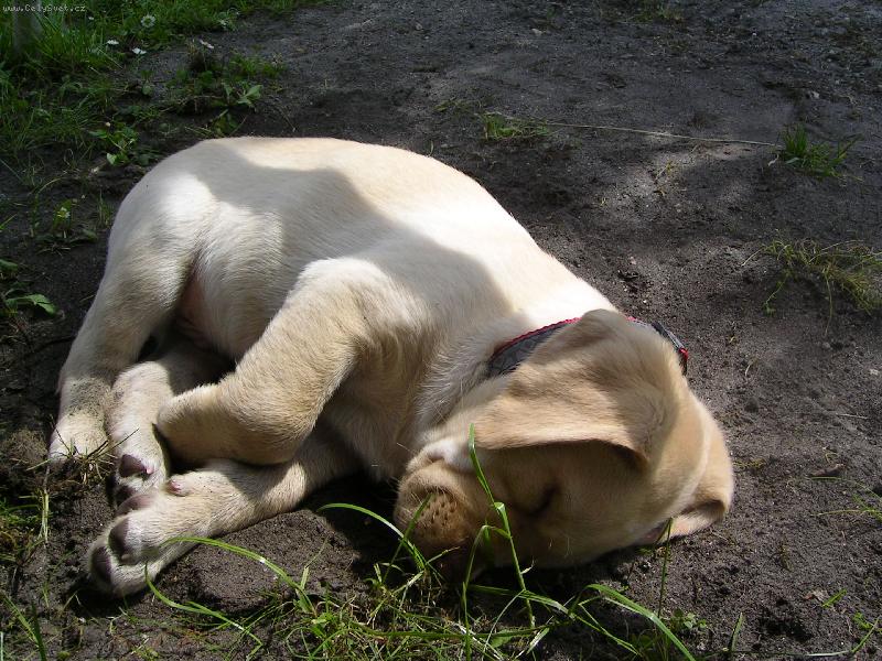 Foto: Charlie