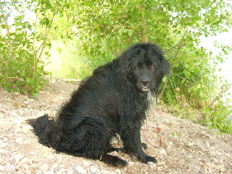 Foto: Hagi