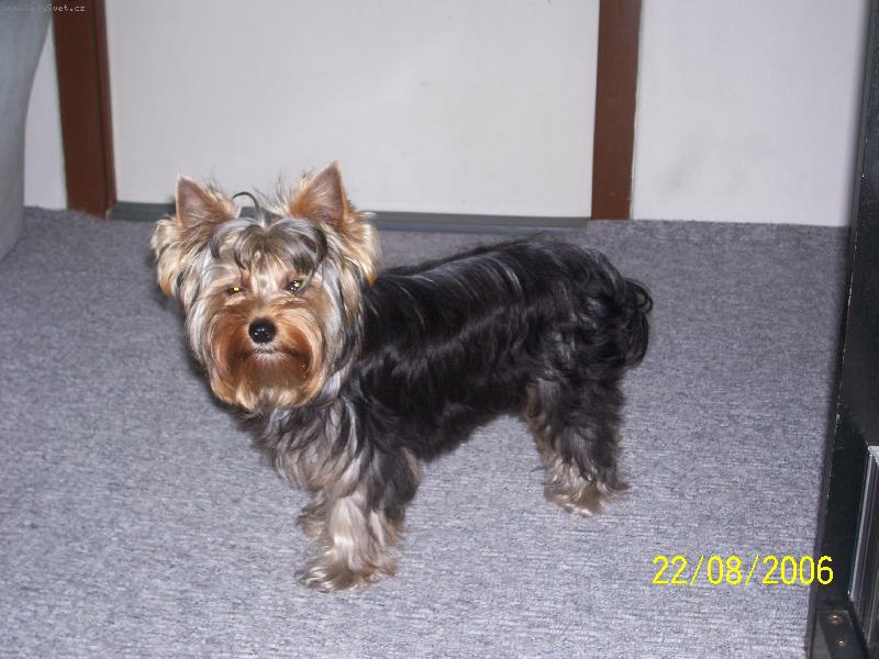 Foto: Bessy