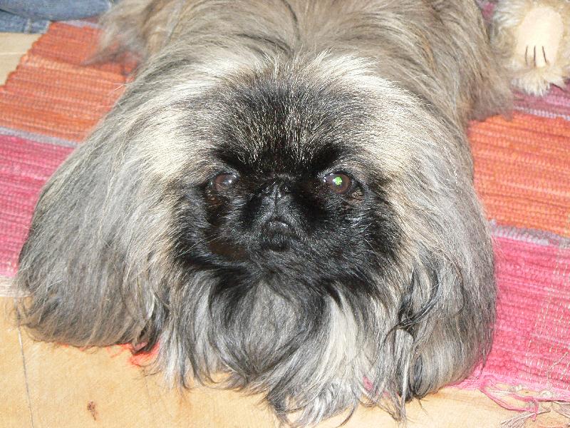 Foto: Tino Bedit