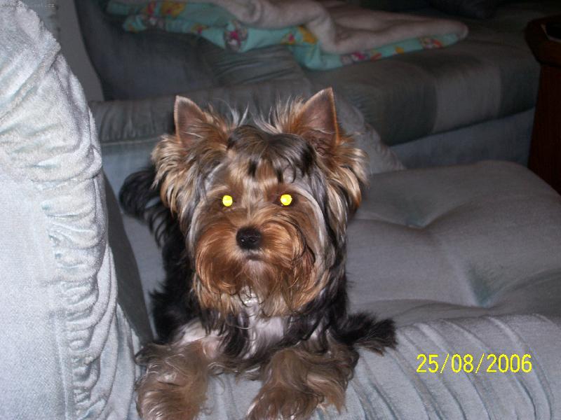 Foto: Bessy