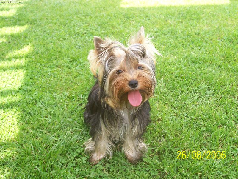 Foto: Bessy