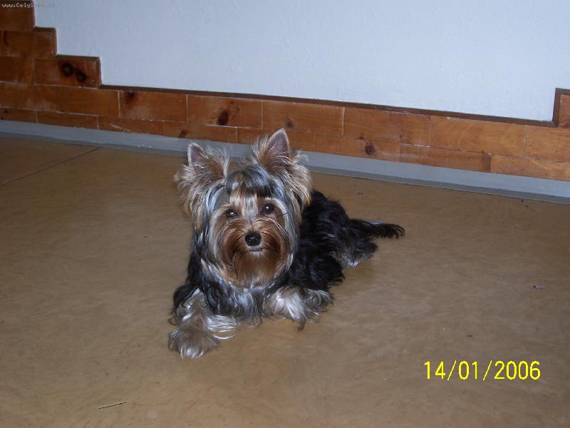 Foto: Bessy