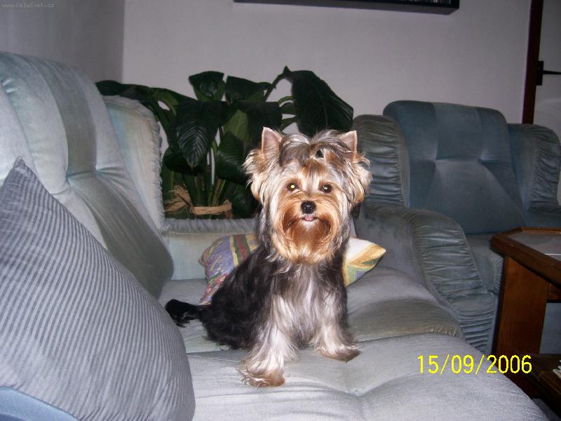Foto: Bessy