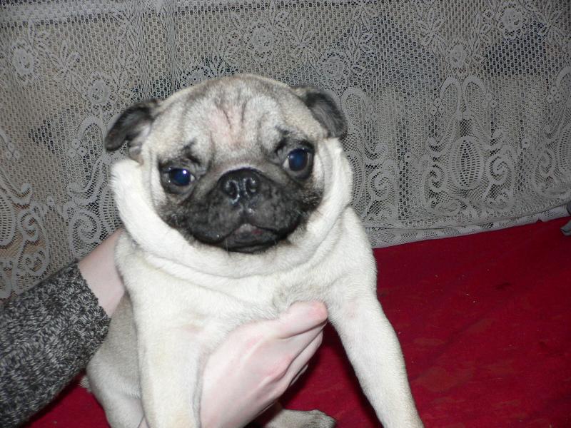 Foto: Dianka