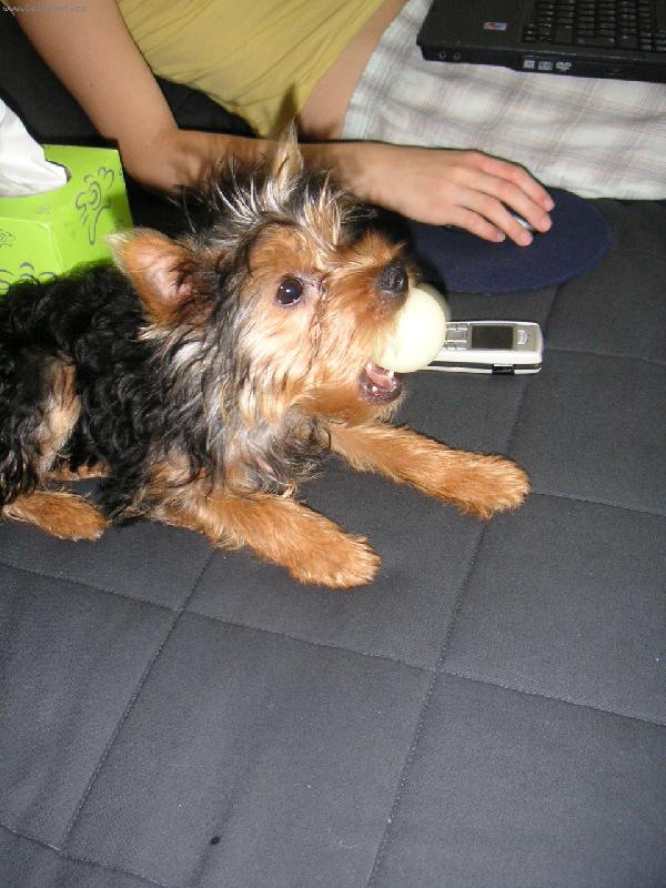 Foto: Mufka-Maxime