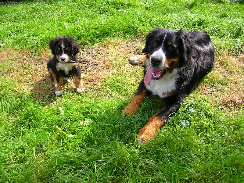 Foto: Max a Sam