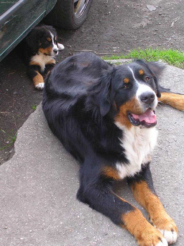 Foto: Max a Sam