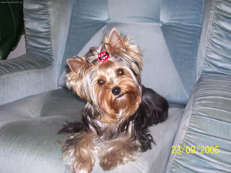 Foto: Bessy