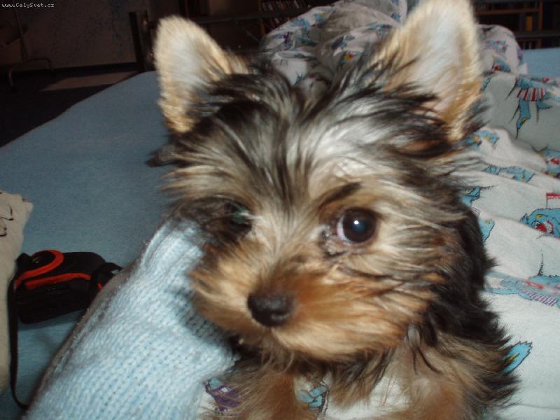 Foto: CoCo