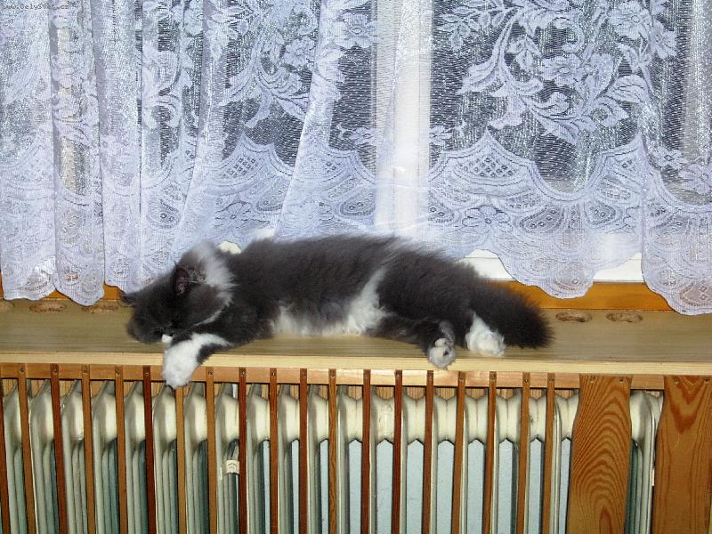 Foto: odpo�inek