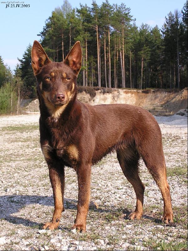 Foto: Braya Xapat�n