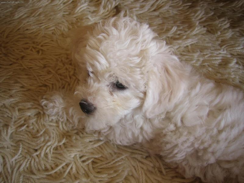 Foto: na�e Keisy
