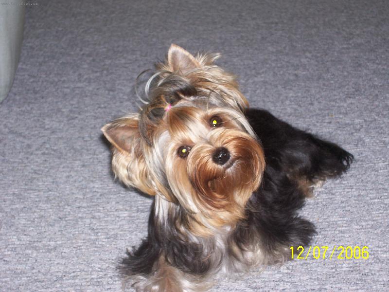 Foto: Bessy