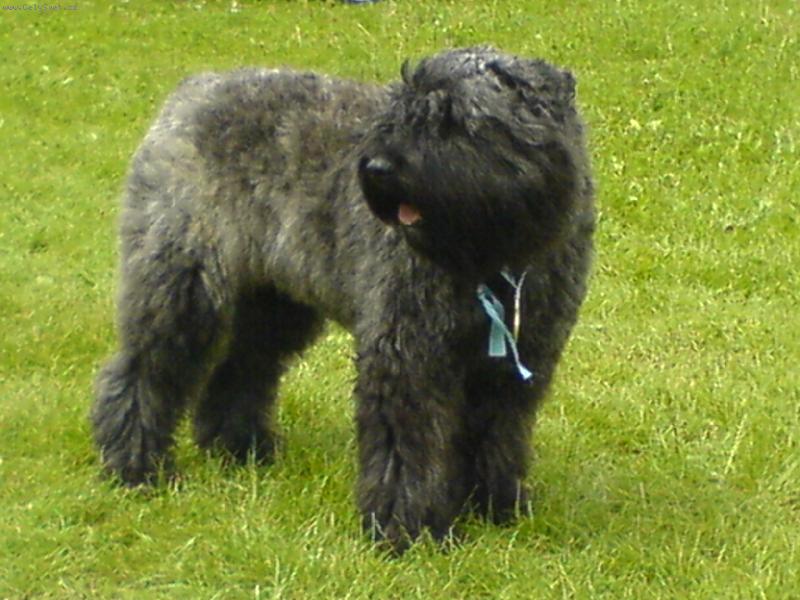 Foto: Anabel Kostele��k