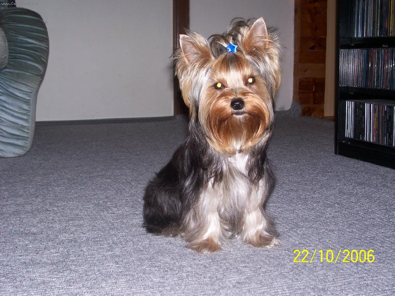 Foto: Bessy