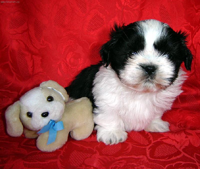 Foto: Chacky