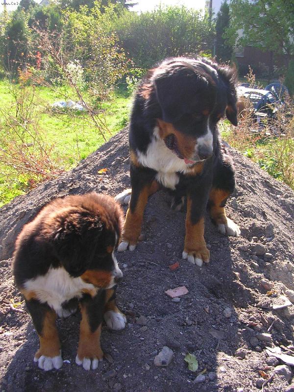 Foto: Max a Sam