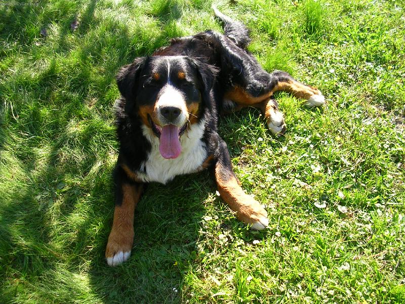 Foto: Max a Sam