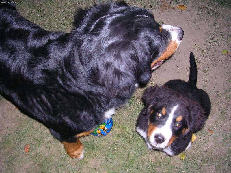 Foto: Max a Sam