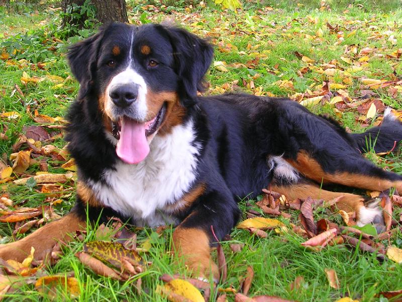 Foto: max