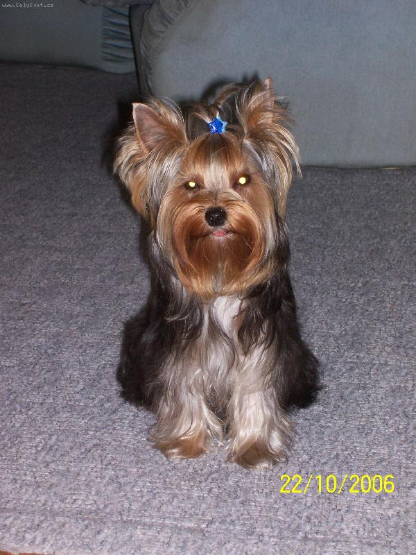 Foto: Bessy