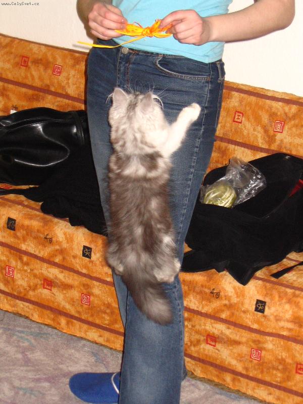 Foto: leze, leze,...