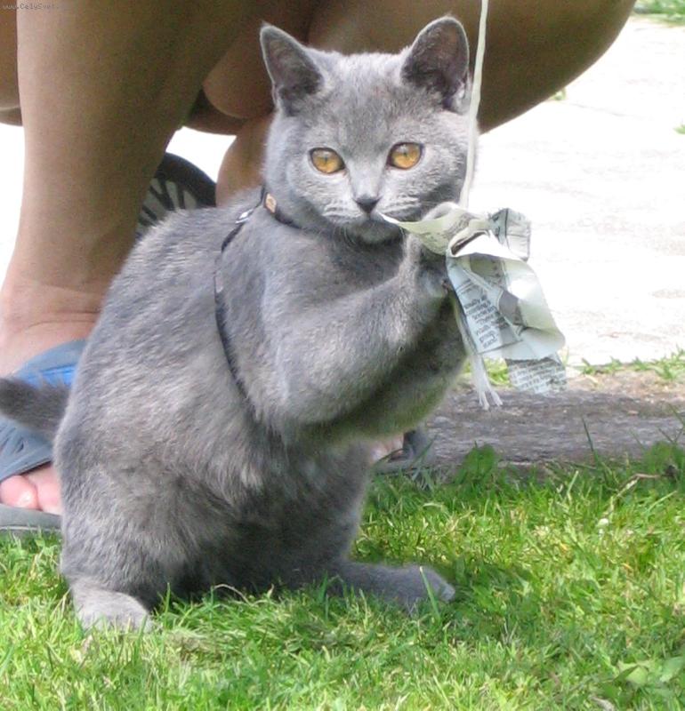 Foto: Arnee-chutn�m noviny...