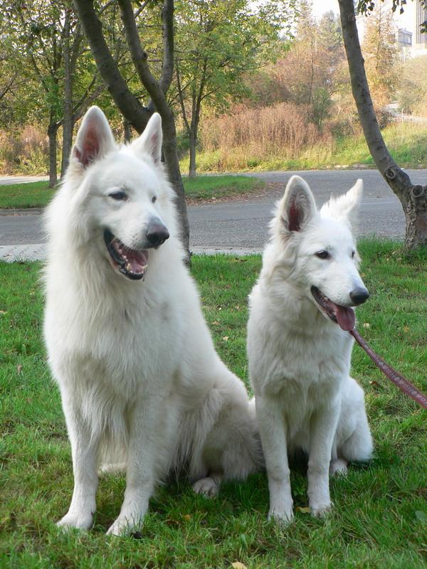 Foto: Chad a Ory-Na�i kamar�di